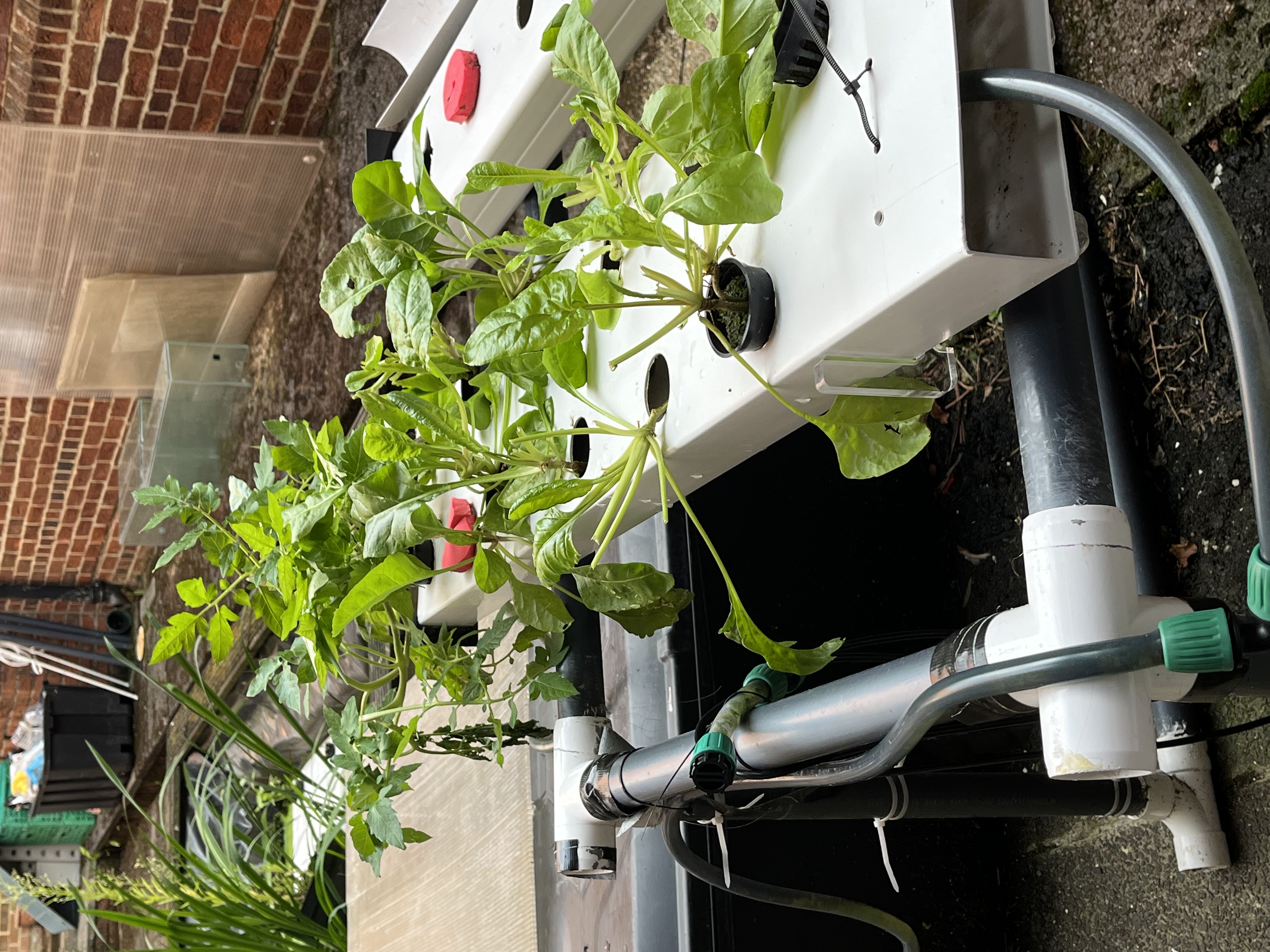Hydroponic kit